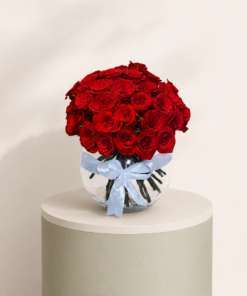 50 red roses arrangement in a glass vase with decorative ribbon by Marino Flowers
