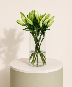 10 fresh white lily stems arranged in a clear glass vase by Marino Flowers.